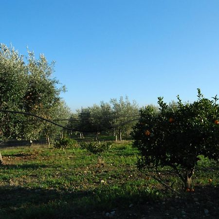 Agriturismo - B&B "La Funicolare" Francavilla Marittima Bagian luar foto