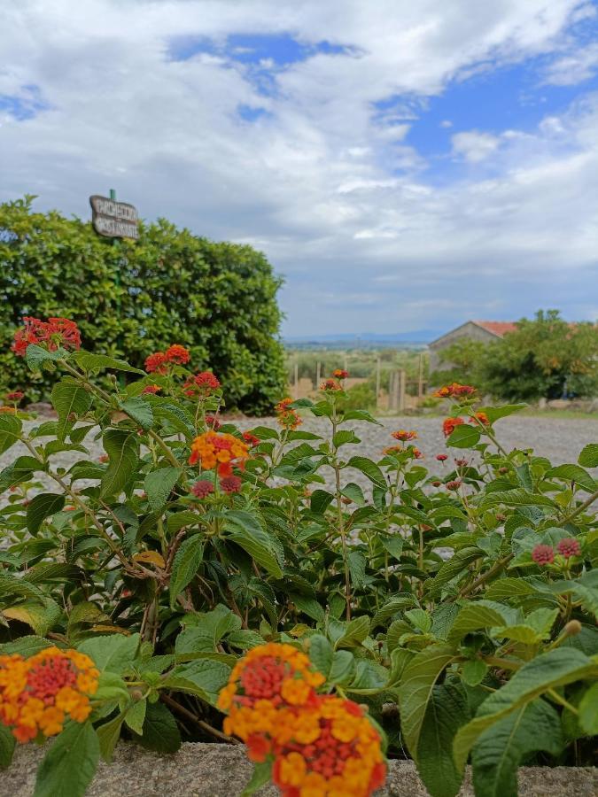 Agriturismo - B&B "La Funicolare" Francavilla Marittima Bagian luar foto
