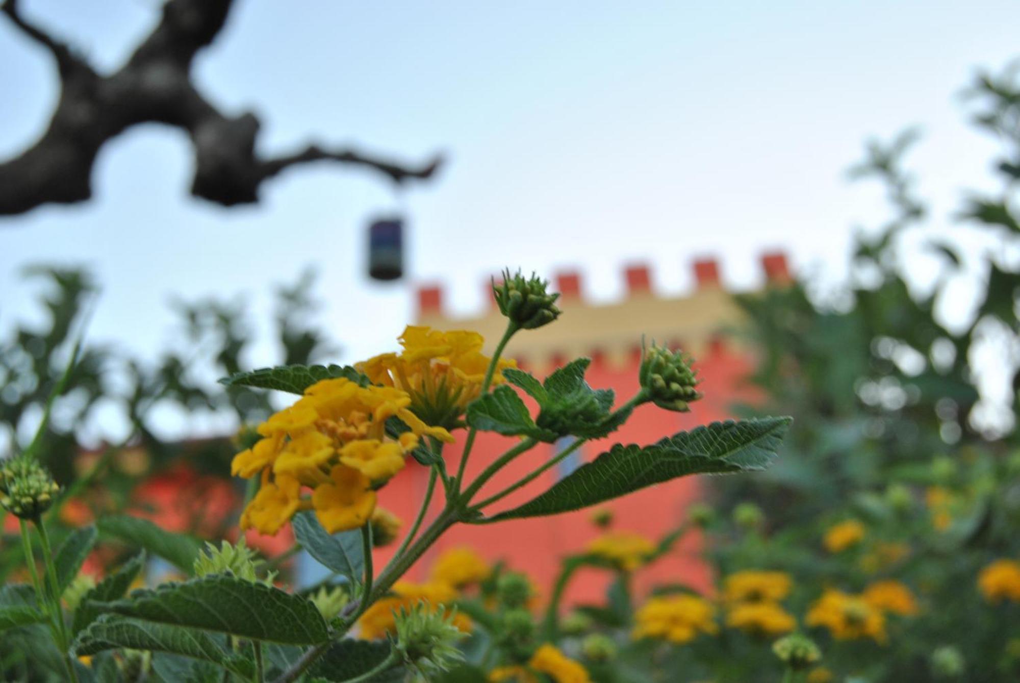 Agriturismo - B&B "La Funicolare" Francavilla Marittima Bagian luar foto